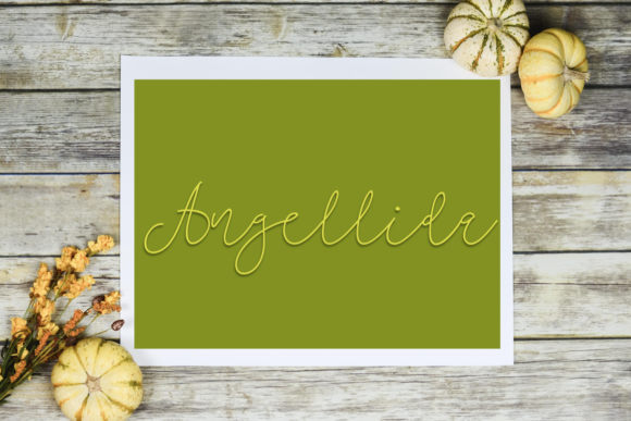 Angellida Font: A Bold Script for Modern Branding