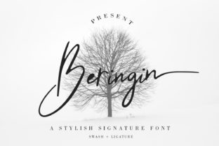 Beringin: The Elegant Script Font for Scroll-Stopping Visuals