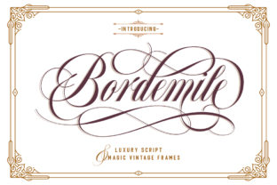Bordemile: A Designer’s Honest Review