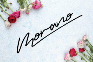 Morano: A Script Typeface for Modern Editorial Design
