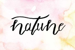 Natune Font Review: A Digital Designer’s Perspective