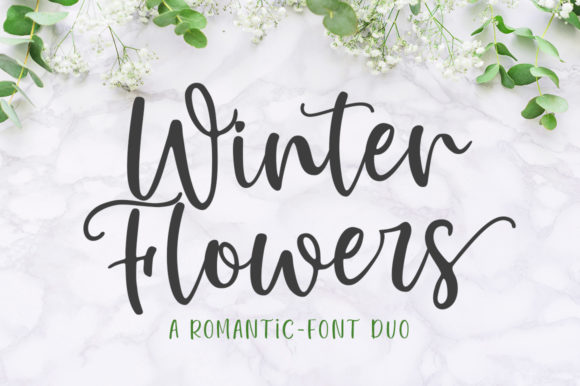 Winter Flowers Font Review for Campaign Design